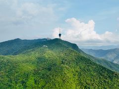 -深圳仙湖植物园