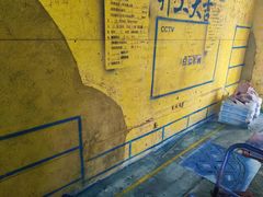-点石家装(总部旗舰店)