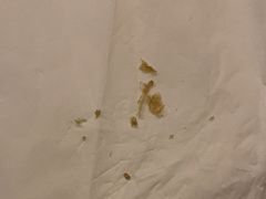 -沁竹舍影院足道·SPA·采耳