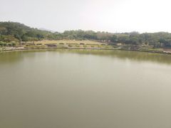 -东莞植物园