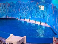 -珠海长隆海洋王国