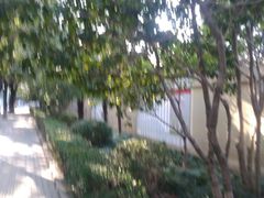 -上海市嘉定区江桥小学