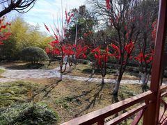 -南京金牛湖风景区