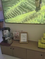 -头道汤头疗养生馆