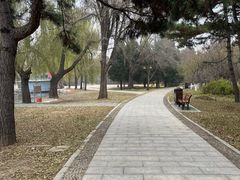 -北陵公园