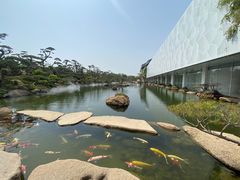 -罗红摄影艺术馆