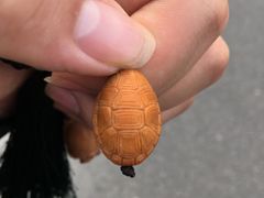 -灵龟之家百象馆(百象馆联合旗舰店)