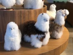 -方所(华润万象城店)