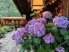 -林间山庄