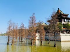 -顺峰山公园