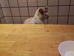 -龚海宝· 烧烤· 羊肉原切挂糊更好吃(庄市店)