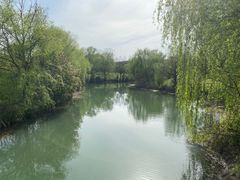 -南湖湿地公园