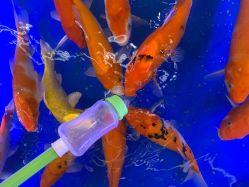 -孩子王(番禺万达广场店)