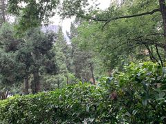 -北极阁公园