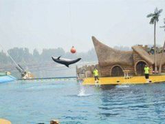 -秦皇岛乐岛海洋王国