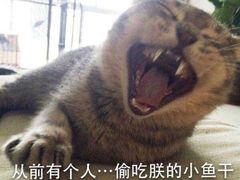 -中医药大学-第2食堂