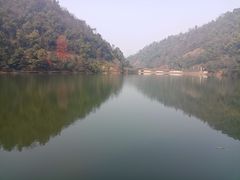-桃花岭景区
