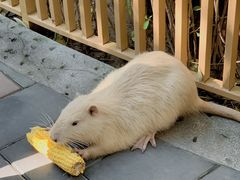 -北京野生动物园