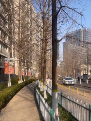 -AFA Hair studio·女士发型设计