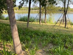 -东郊湿地公园