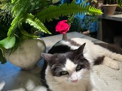 -自由生长植物工作室(深港花卉中心店)