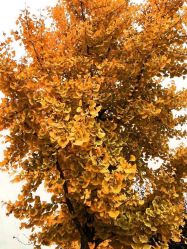 -大望京儿童游乐场