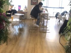 -Husky Go! 哈士奇体验馆·宠物咖啡厅狗咖