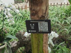 -石家庄市植物园
