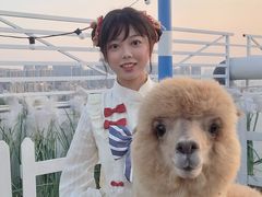 -Blue Concept Cafe&Farm·關於藍