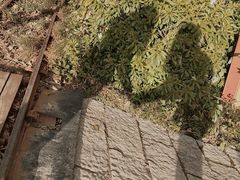 -遂昌金矿国家矿山公园