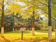 -北京市海淀外国语实验学校