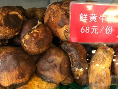 鲜黄牛肝菌-太婆天府山珍酒楼(亚运村店)