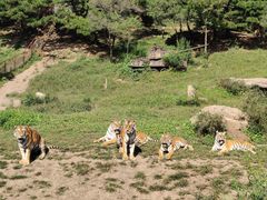 -沈阳森林动物园