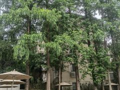 -一尺花园(安和花园店)