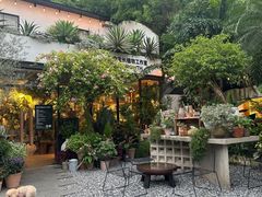 -自由生长植物工作室(深港花卉中心店)