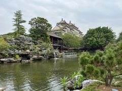-顺峰山公园