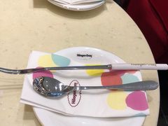 餐具-哈根达斯(深圳海岸城店)