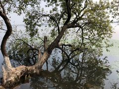 -西昌邛海湾柏樾酒店(原邛海湾柏栎度假酒店)
