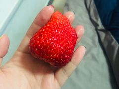-菜园坝水果市场