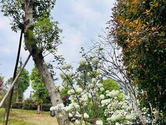 -枫香湖儿童公园