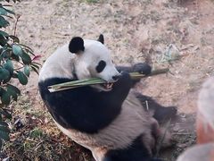 -济南野生动物世界