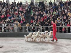 -石家庄市动物园