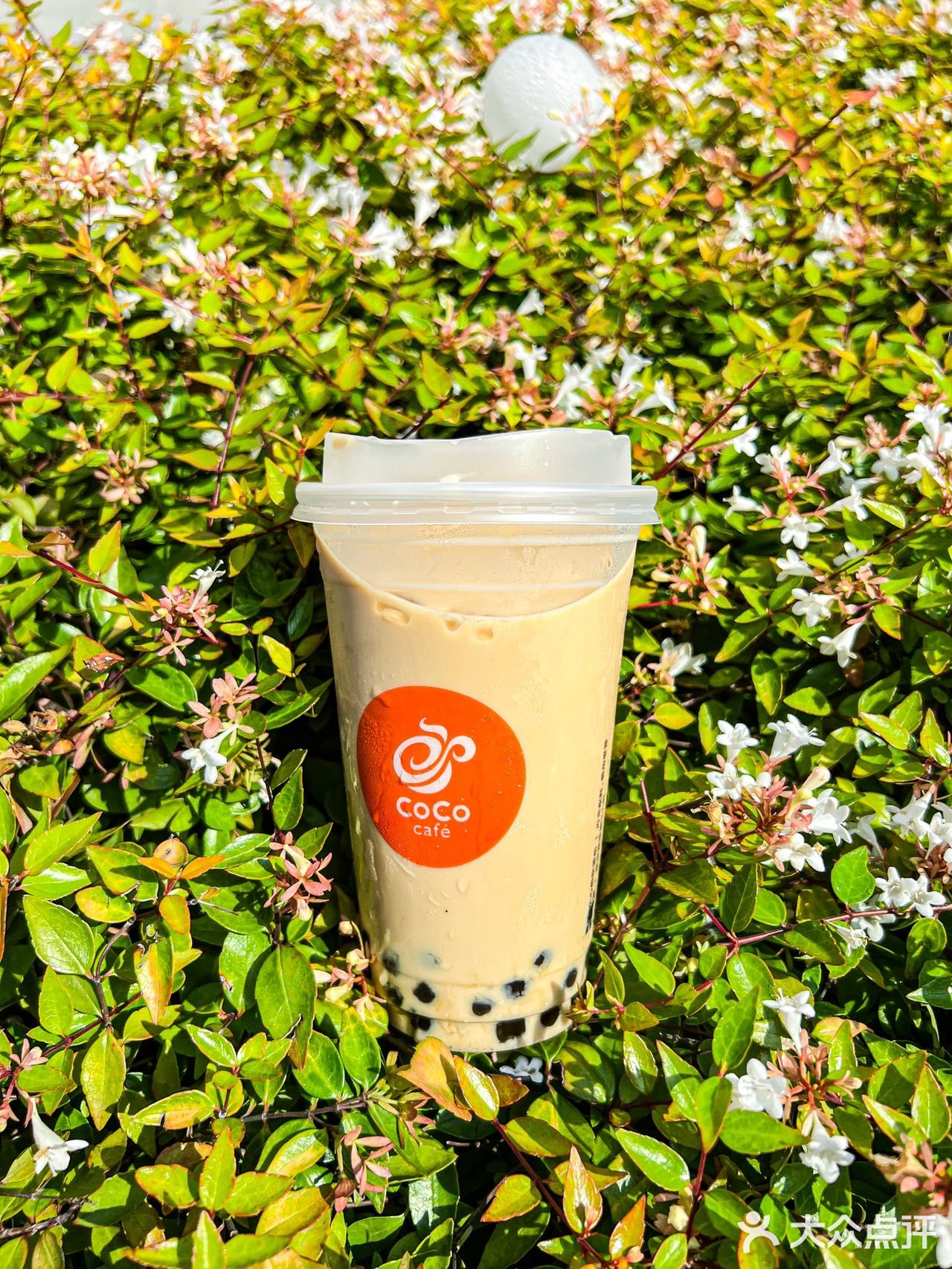 与夏日最般配的还是生椰拿铁系列啊