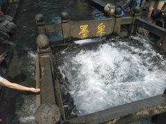 -百脉泉景区