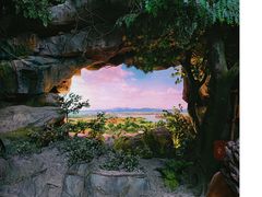 -上海辰山植物园