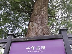 -韩湘水博园