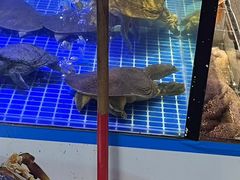 -长沙Y60-SKYLINE天际江景酒店(五一广场店)
