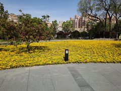 -上海市龙华烈士陵园