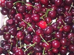 -红星农博物流中心