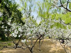 -元大都城垣遗址公园